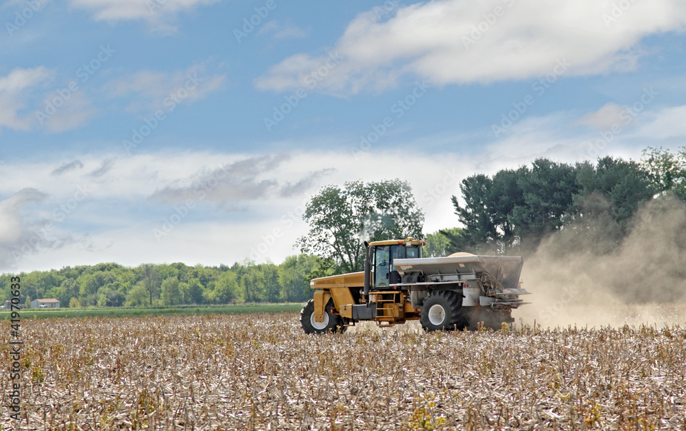 Obraz premium Spreading Lime