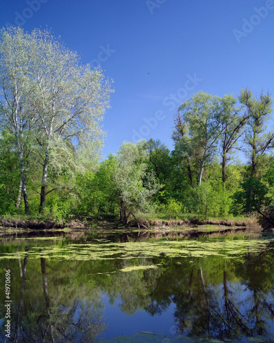 Wallpaper Mural View on the river , spring .Ukraine. Torontodigital.ca