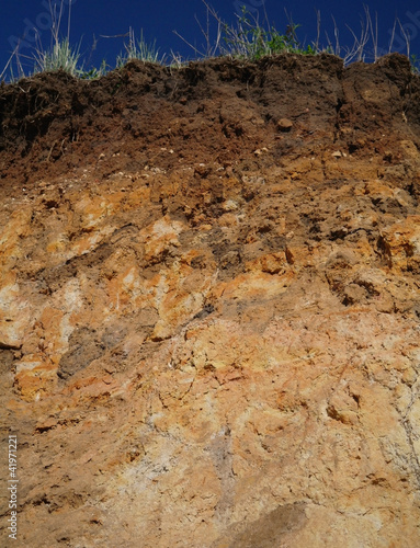 Wallpaper Mural Details of layers of soil under ground surface Torontodigital.ca