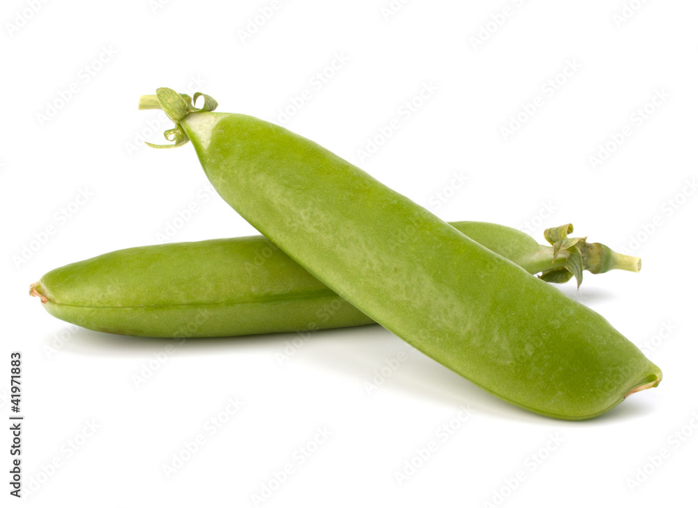 Fresh green pea pod Fresh green pea pod