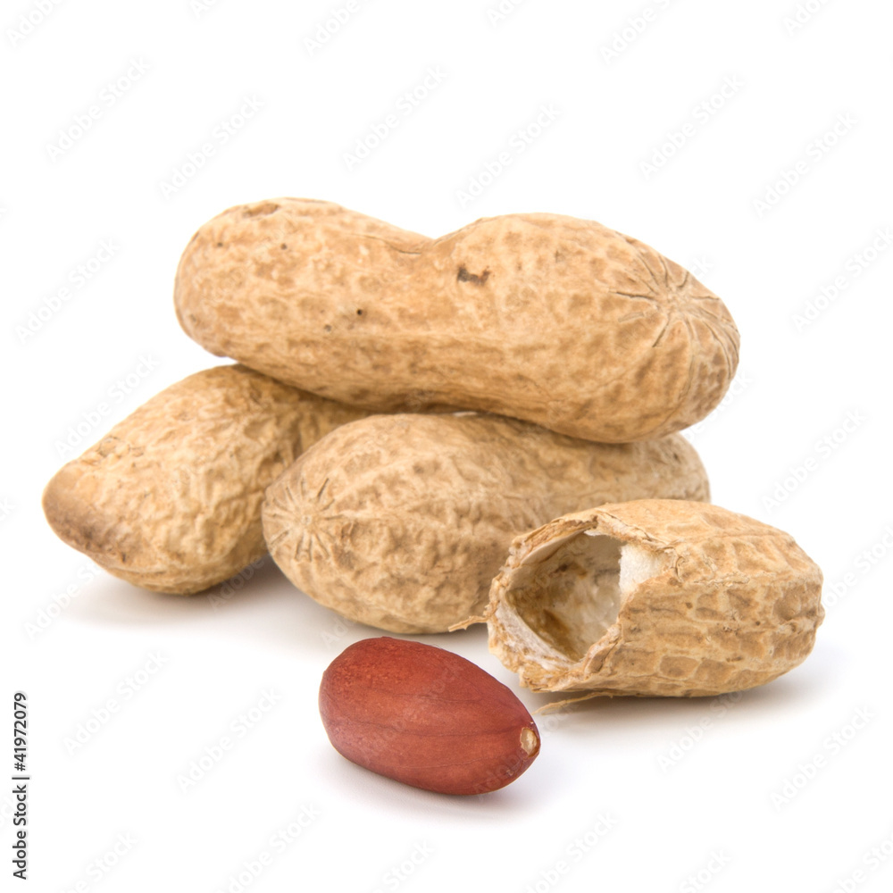 Peanut Peanut