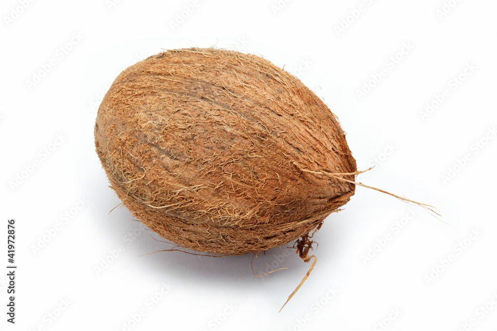 coconut isolated on white coconut isolated on white