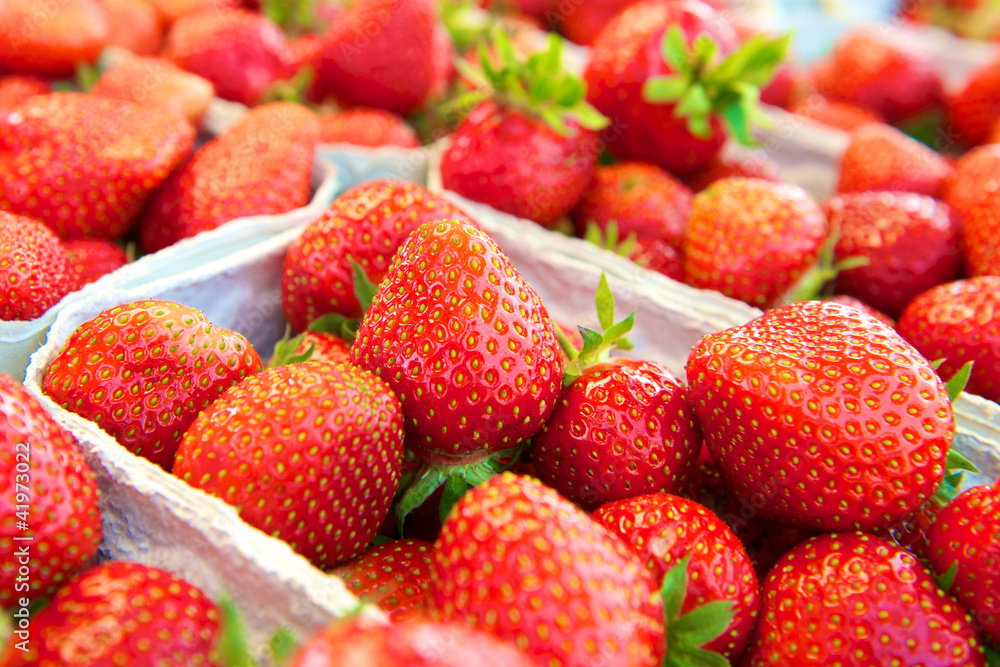 Erdbeeren Erdbeeren