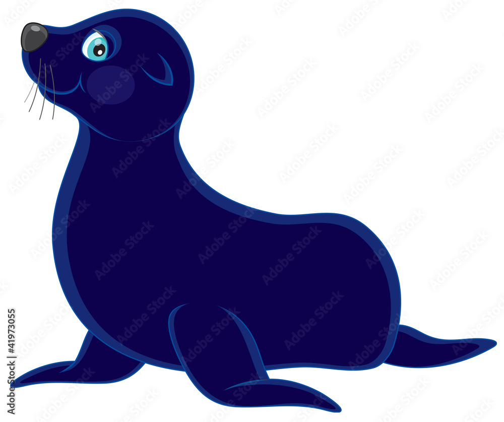 Sea bear Sea bear