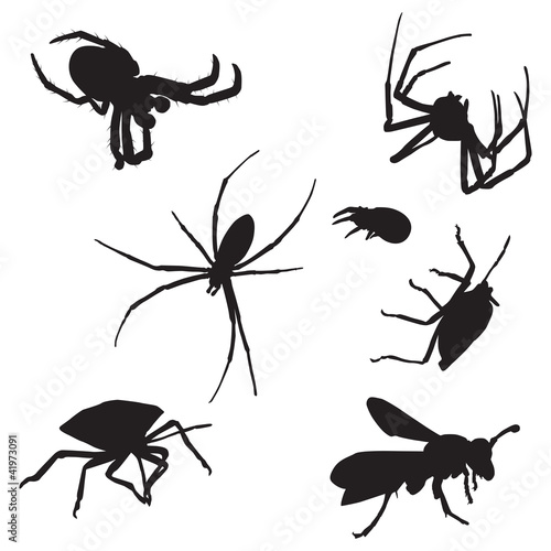 Bugs