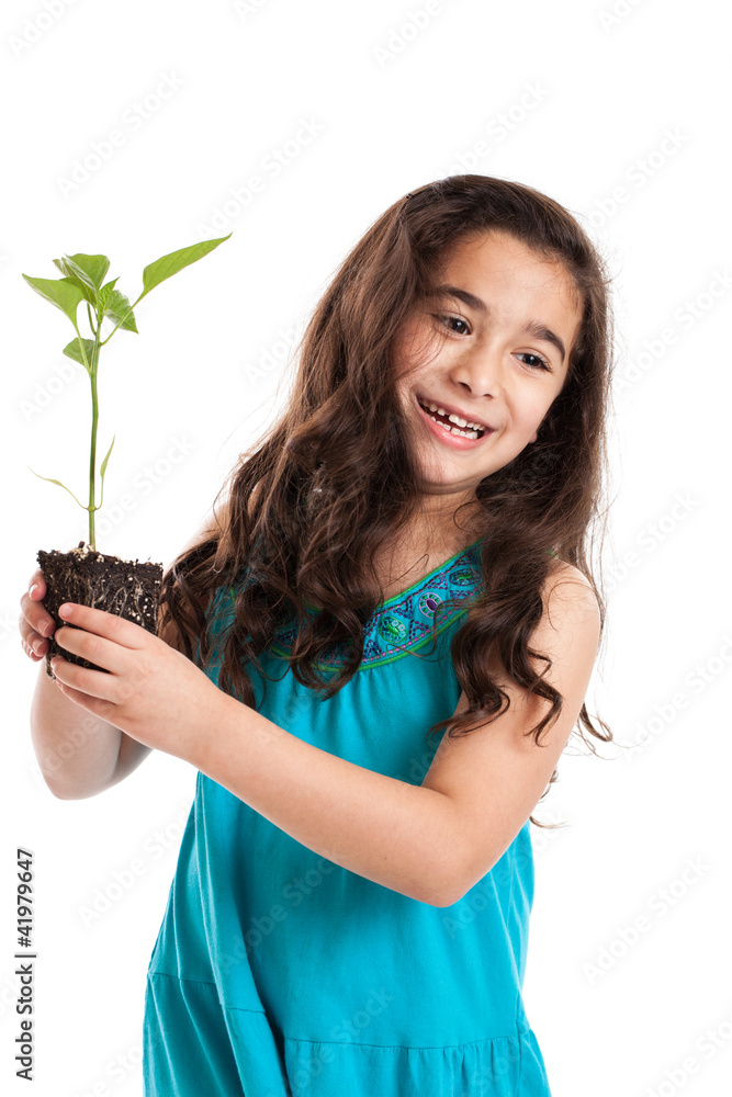 Little girl holding new plant isolated on white Little girl holding new plant isolated on white