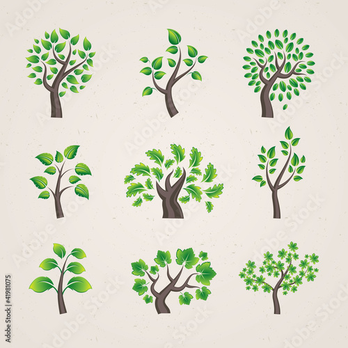 Set of vector trees