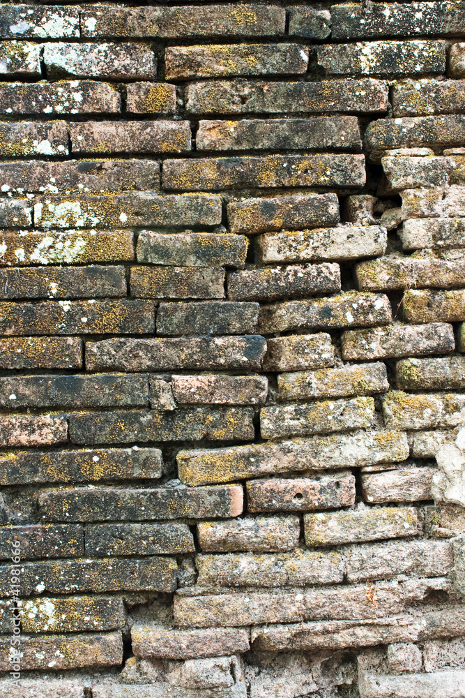 cracking of ancient brick wall and some dead moss cracking of ancient brick wall and some dead moss
