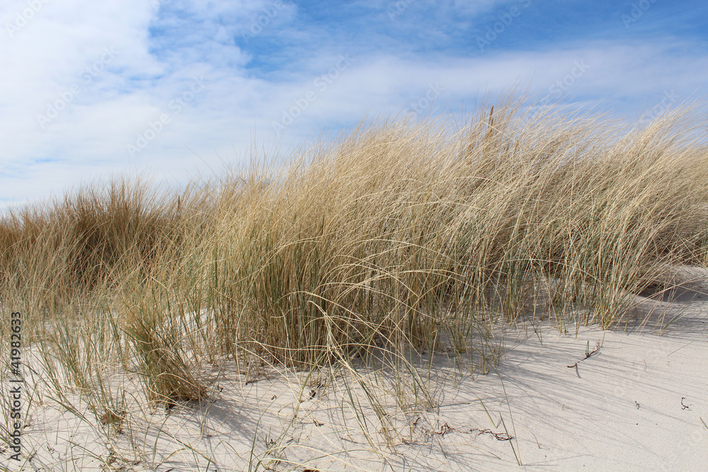 Obraz premium Dünenlandschaft
