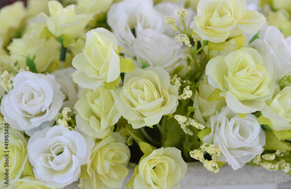 Obraz premium The background of the beautiful flowers in colorful