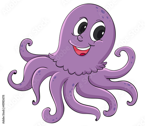 Octopus