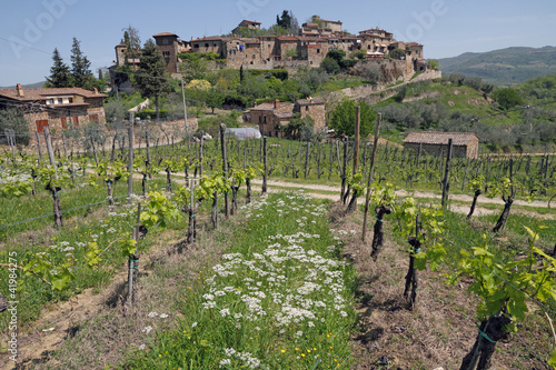 landscape with vineyards in spring and old village on hill, Mont photo