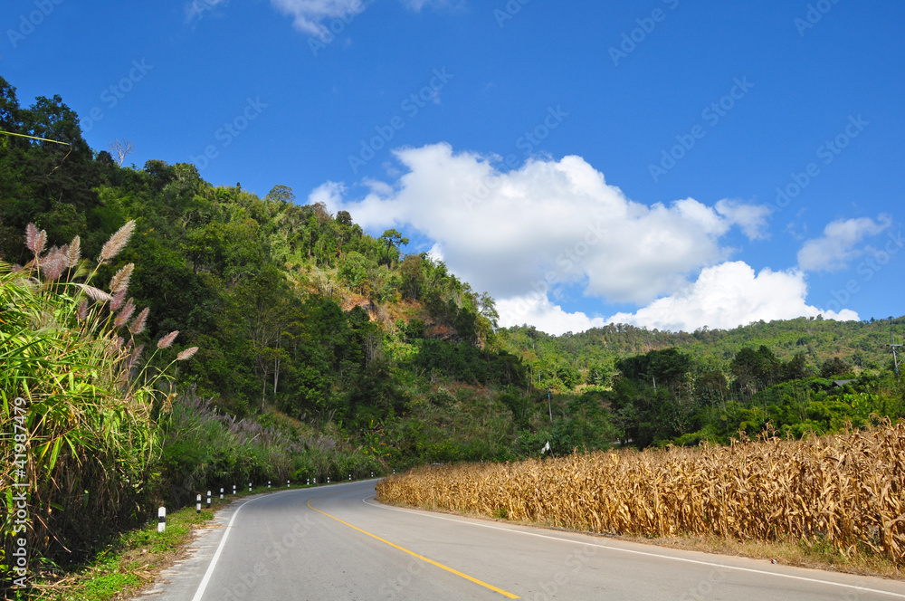 Mountain road