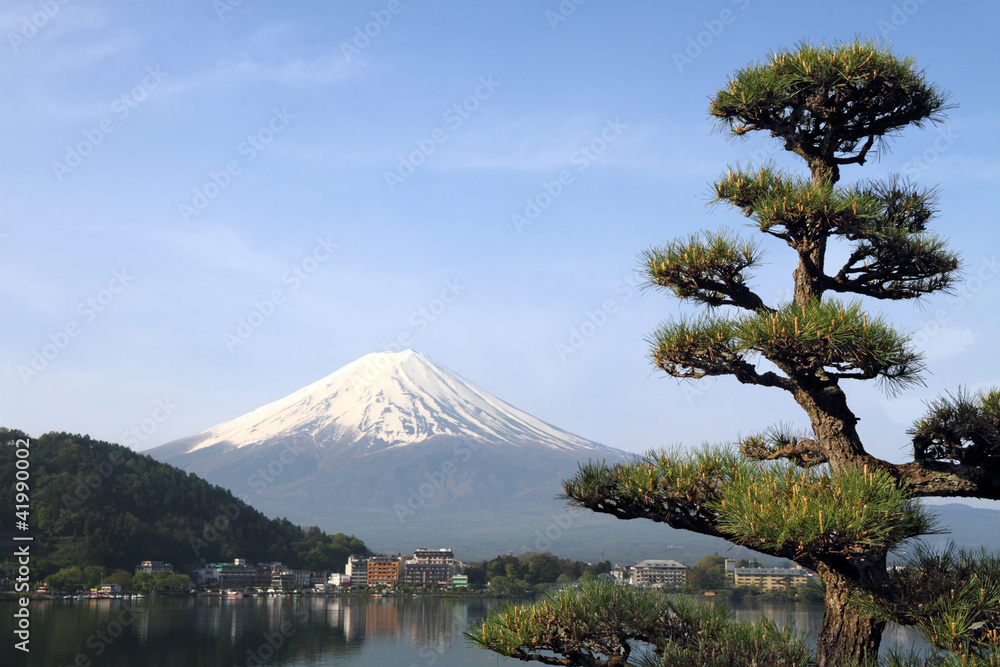 Mt Fuji, Japan