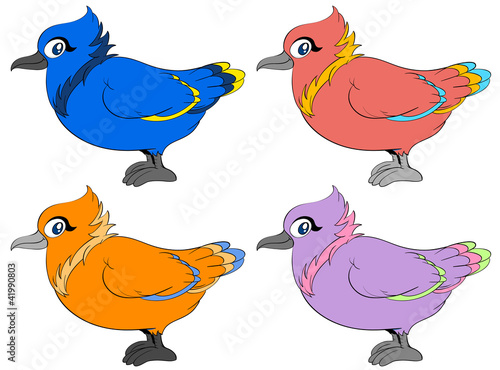 Colour birds