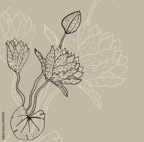 background with a waterlily
