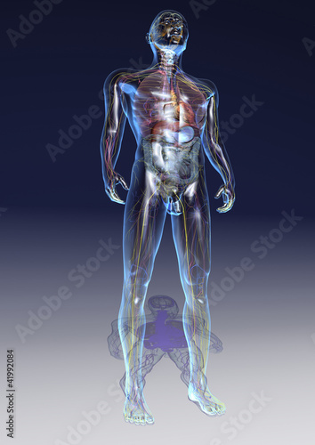 Der gläserne Mensch