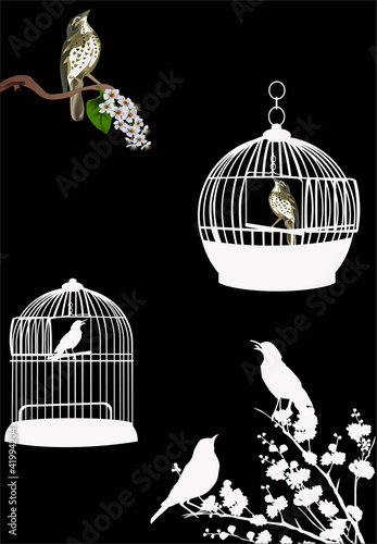 birdcages and birds isolated on black