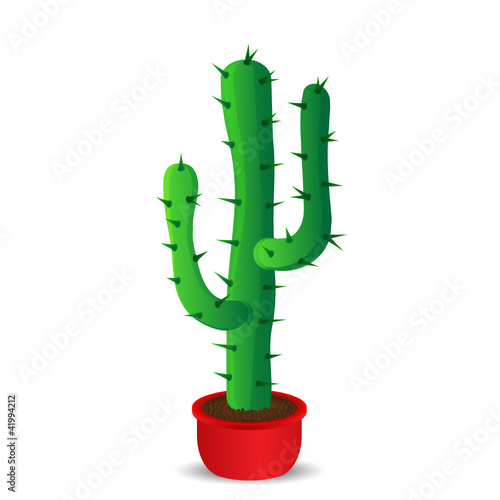 Cactus in a red flowerpot