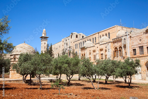 Garden with olives inside of Temple Mount, Jerusalem. Israel