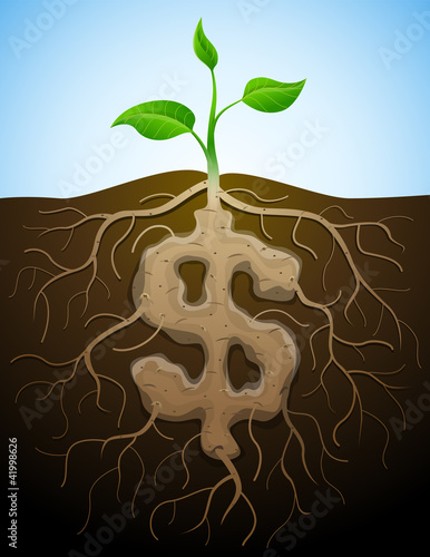 Roots and tuber in form of dollar symbol sprout. Vector image