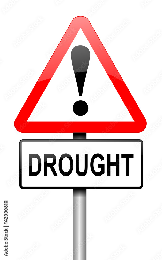 Drought concept. Drought concept.