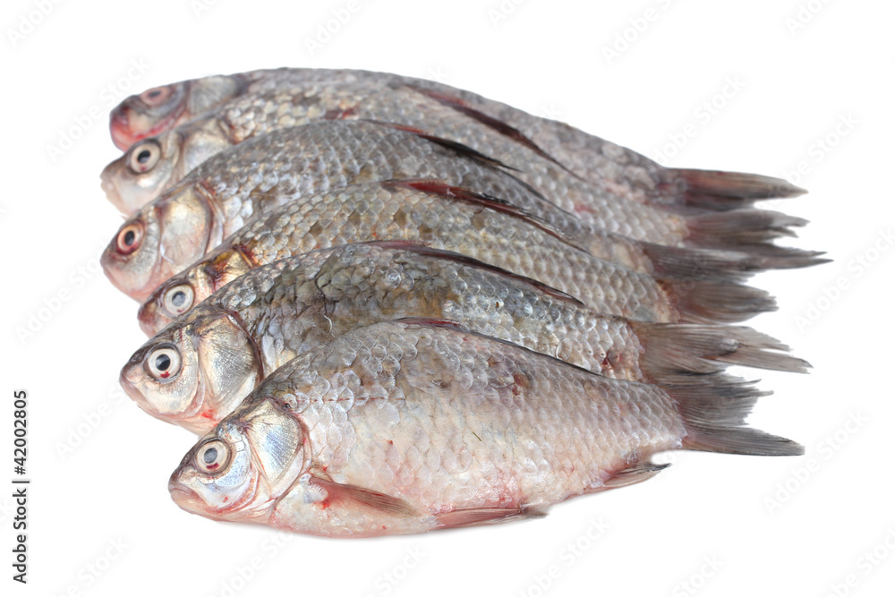 Fresh fishes isolated on white Fresh fishes isolated on white
