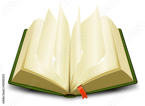 Bookmark And Flipping Pages