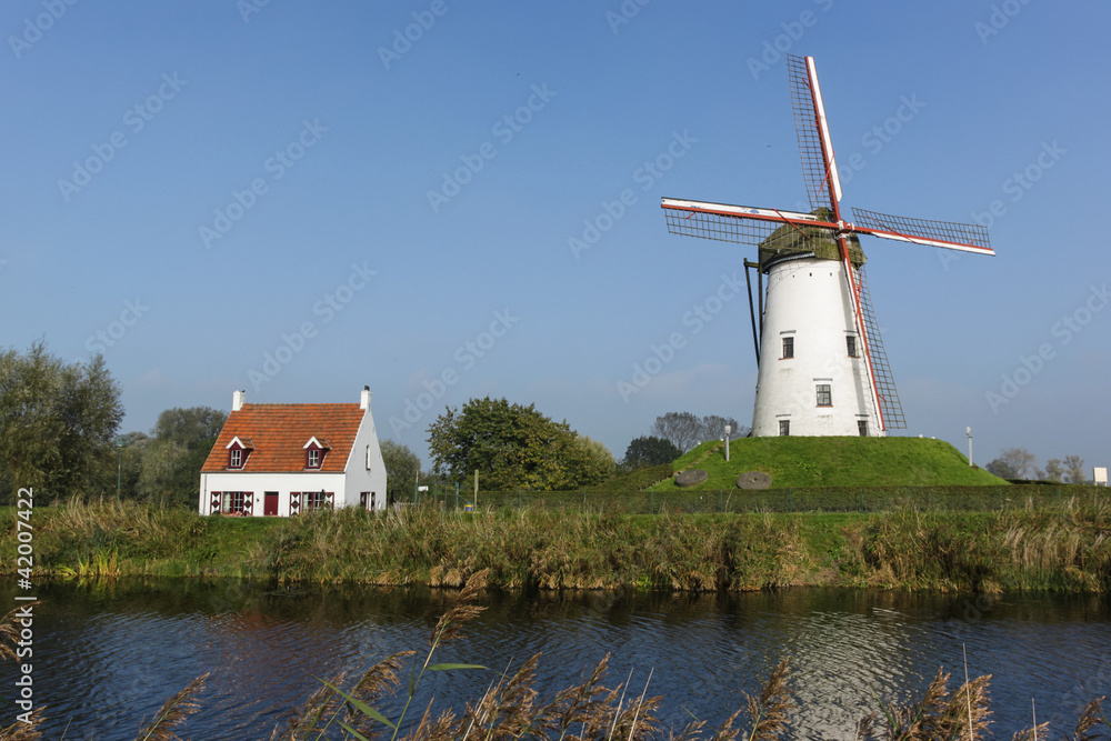 Fototapeta premium White windmill and house