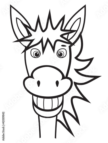 Donkey Black and White