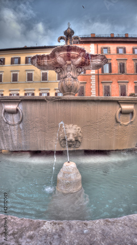 Roma, piazza Farnese, fontana del Rainaldi photo