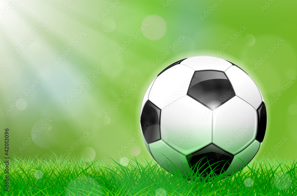 Naklejka premium Soccer ball on the pitch.