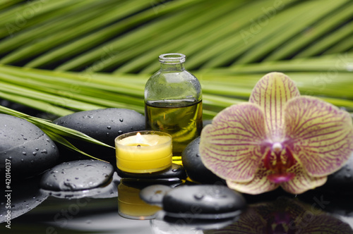 bottle of essential oil and green palm leaf with candle