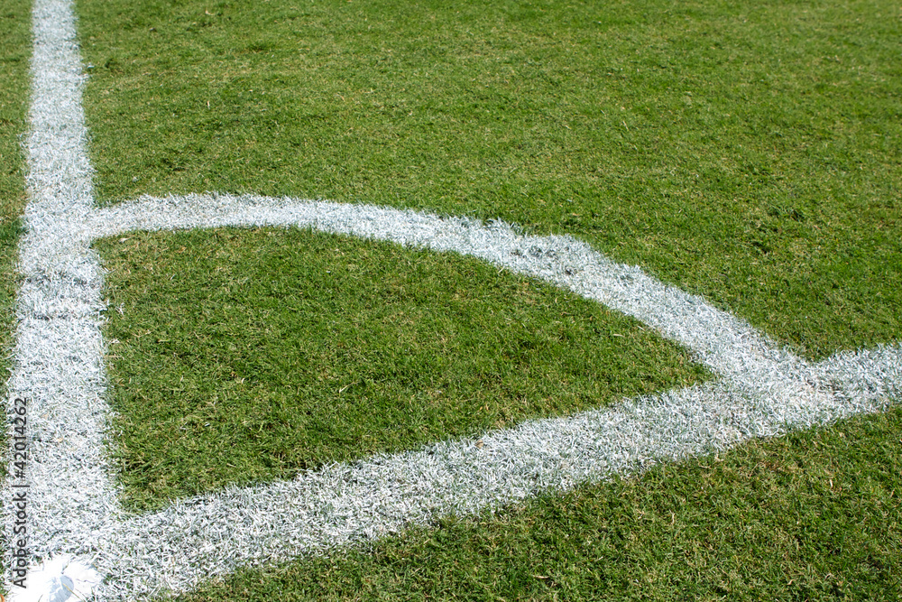 Lines of a Soccer Field