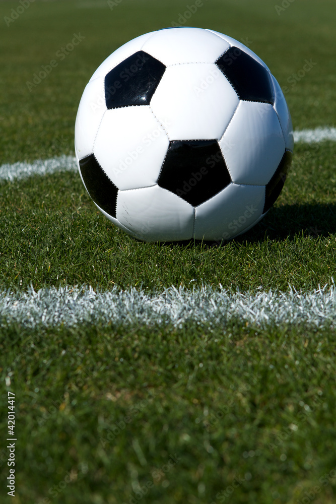 Fototapeta premium Soccer Ball on the Field