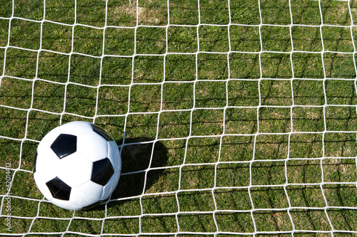 Soccer Ball on the Net © 33ft