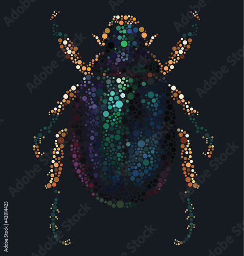Scarab Beetle
