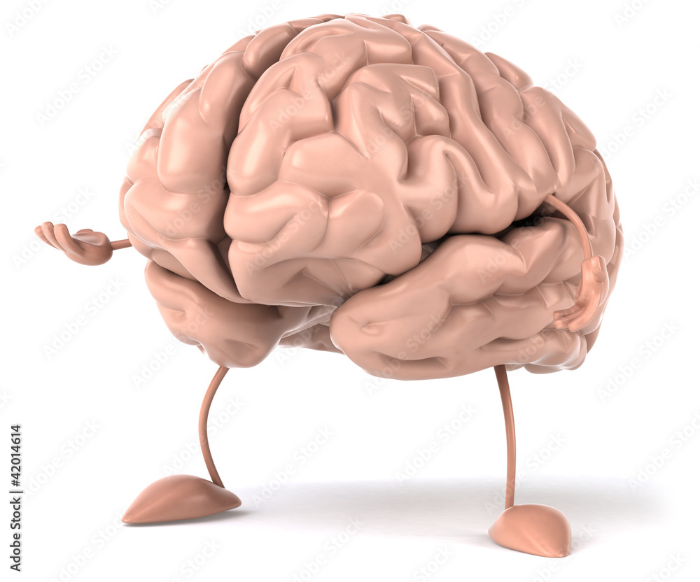 Cerveau Cerveau