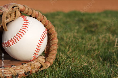 Baseball in a Glove