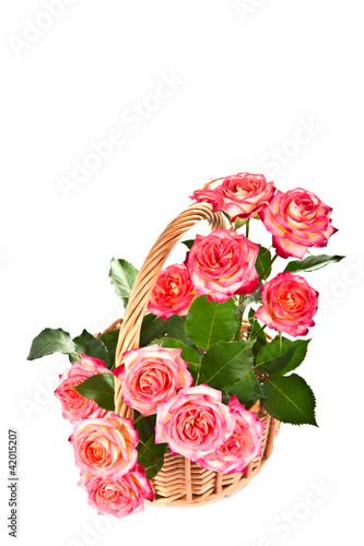 Roses in a basket.