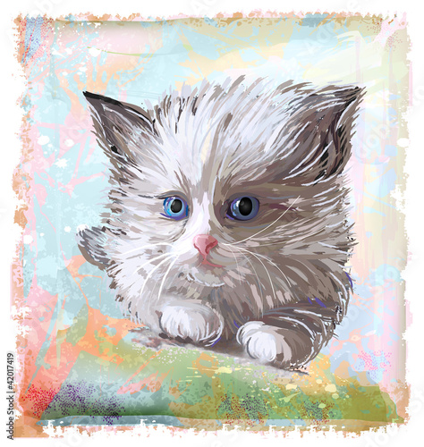 hand drawn portrait of the fluffy kitten  with blue eyes