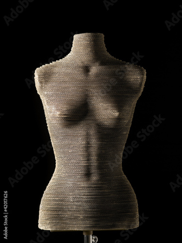 woman's body - mannequin - manichino donna photo