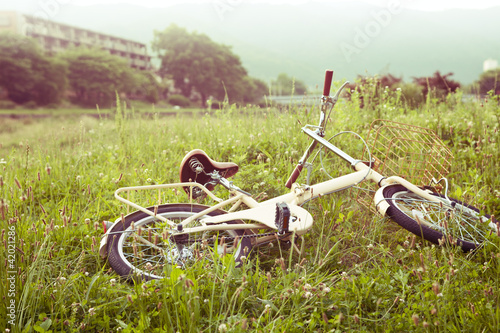 bicycle on green meadow