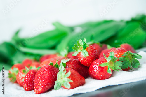 Erdbeeren und Bärlauch II