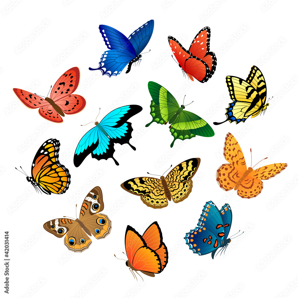 Naklejka premium Flying butterflies