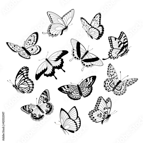 Flying black & white butterflies