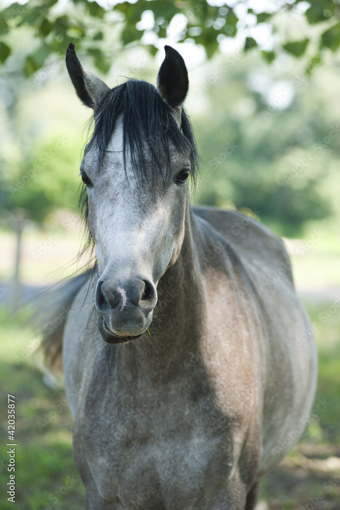 Fototapeta premium nice colors