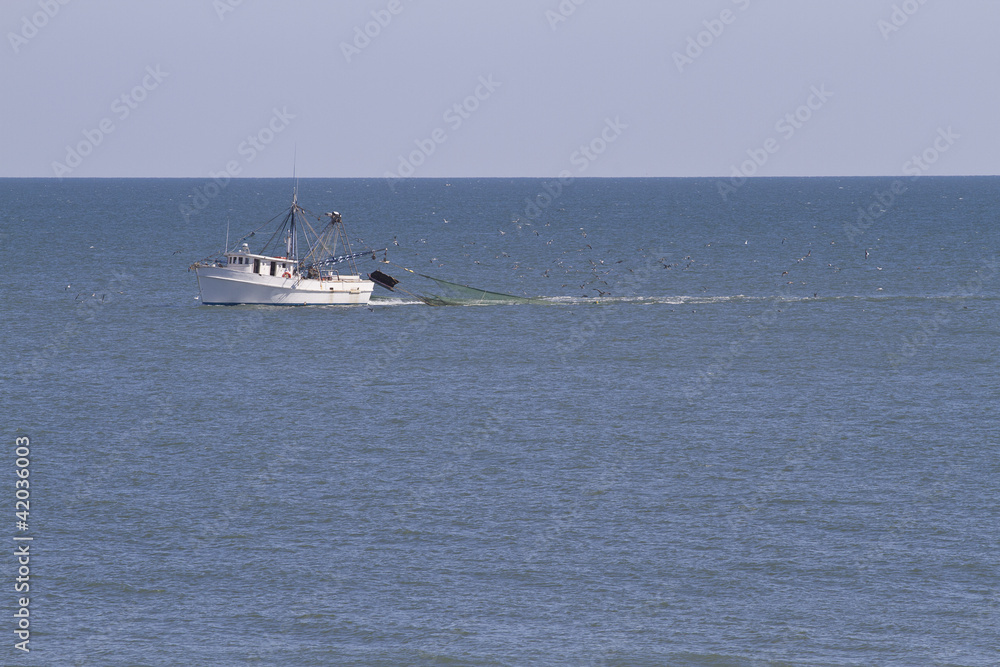 Trawler Dragging Nets