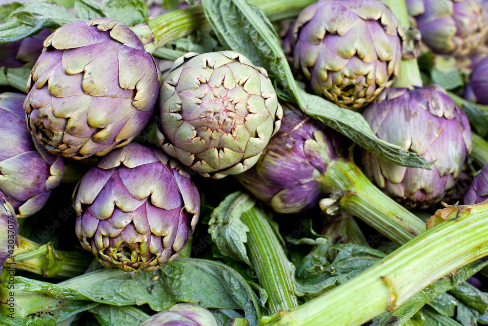 Obraz premium Fresh green artichokes