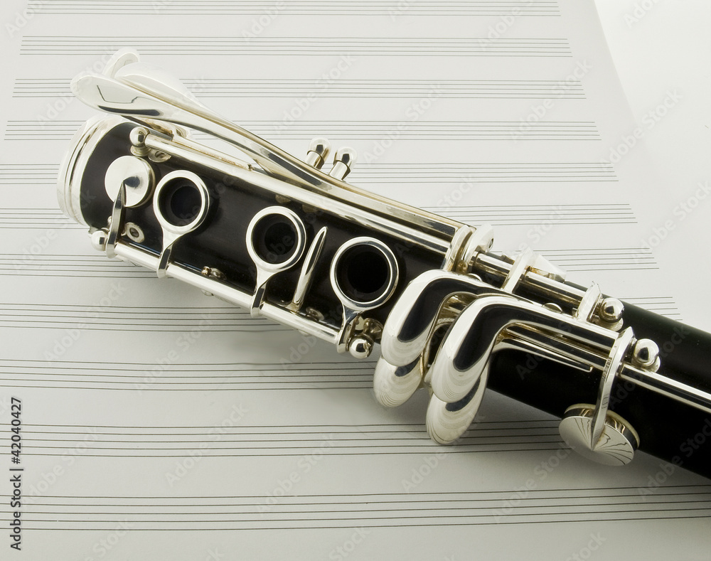 Obraz premium clarinet
